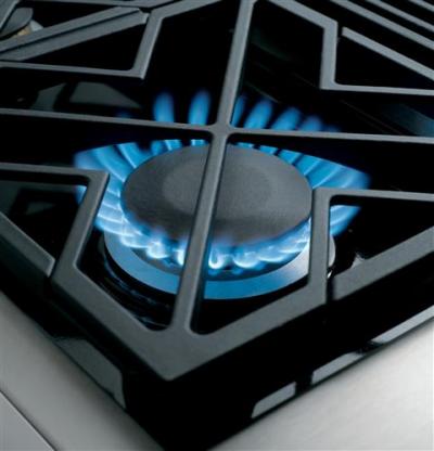 48" Monogram Dual-Fuel Professional Range with 6 Burners and Griddle (Natural Gas) - ZDP486NDPSS